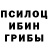 Псилоцибиновые грибы Psilocybe Elba Morales