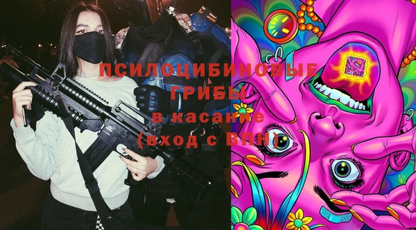 спиды Алексеевка