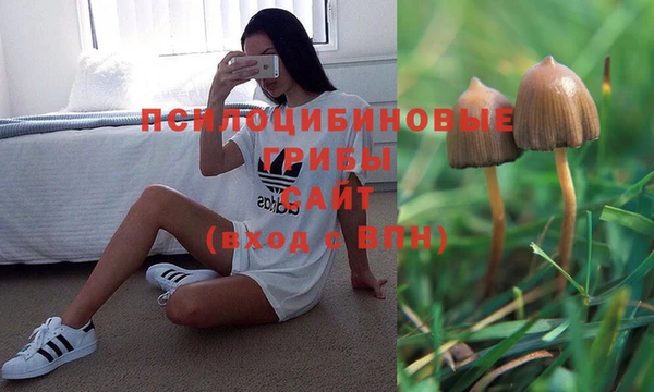 амфетамин Алексин