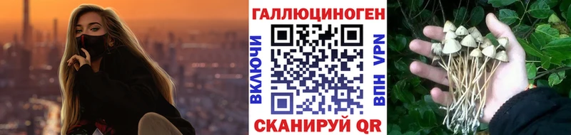 Галлюциногенные грибы GOLDEN TEACHER  Венёв 
